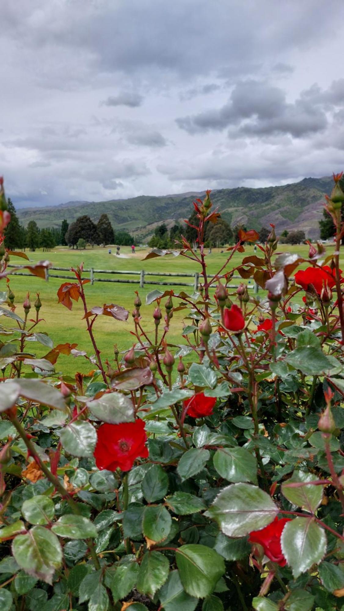 Lake Dunstan Motel Cromwell Esterno foto
